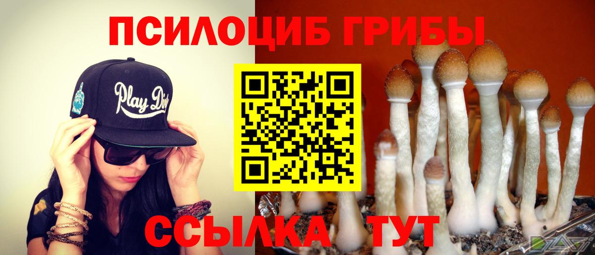 Великий Устюг  Псилоцибиновые грибы Cubensis  Вход с VPN 